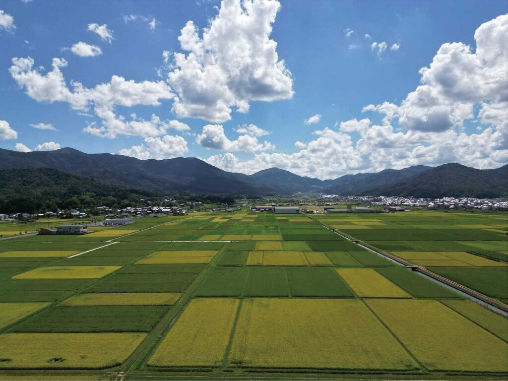 与謝野町について